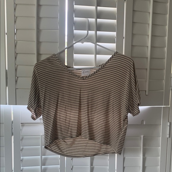 Livi Casual Brown and White Striped Crop Tee Short Sleeve - Picture 1 of 2
